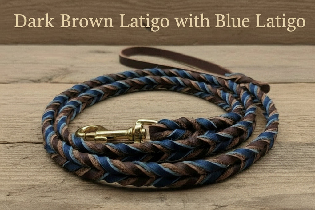 Dark Brown Latigo primary with Blue Latigo secondary and silver snap