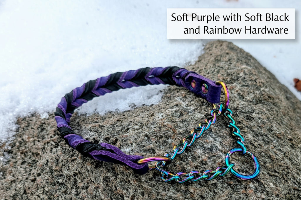 Soft Black and Purple braided leather martingale collar with Rainbow hardware