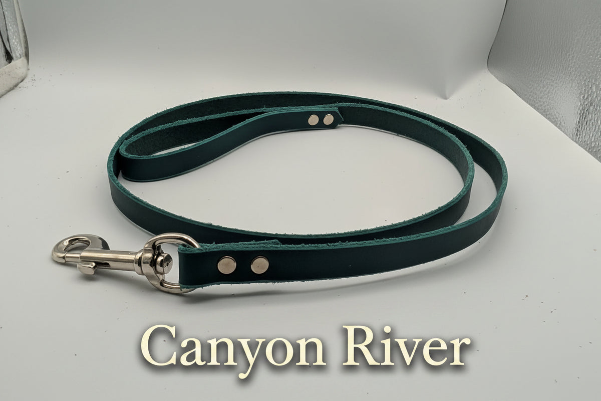 Clearance Leashes
