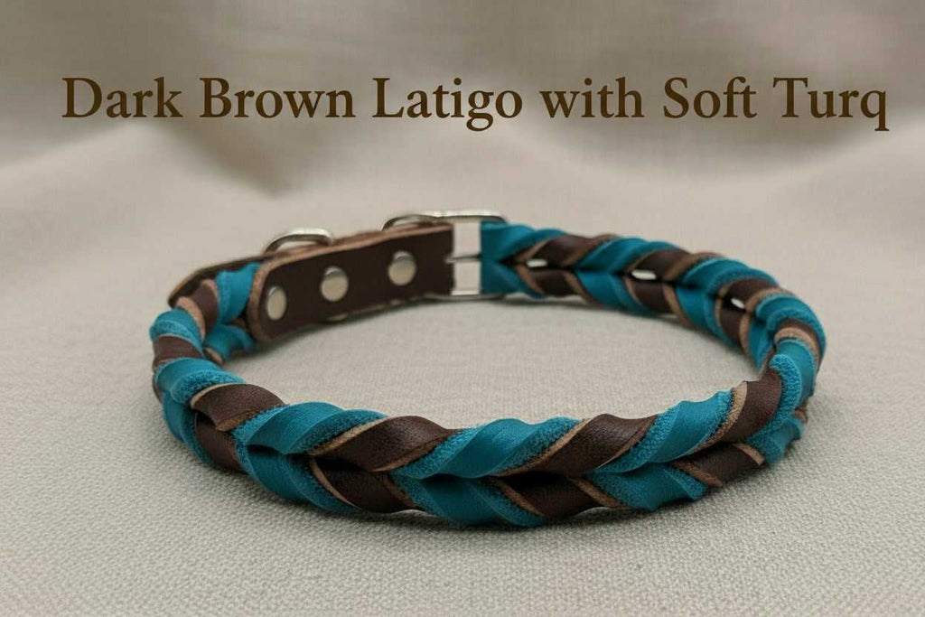 Braided Leather Buckle Collar in dark brown latigo and soft turquoise, featuring premium full-grain leather and durable metal hardware. Stylish and adjustable for everyday pet wear.