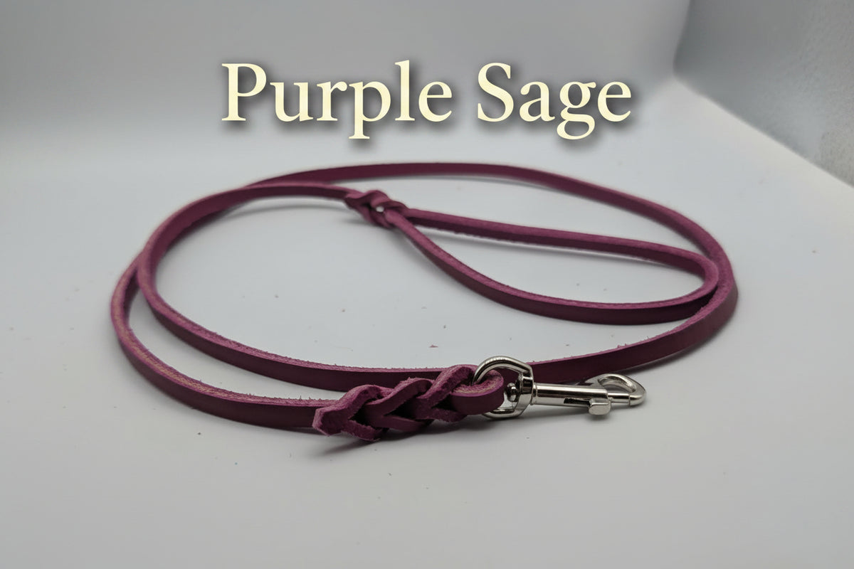 Clearance Leashes