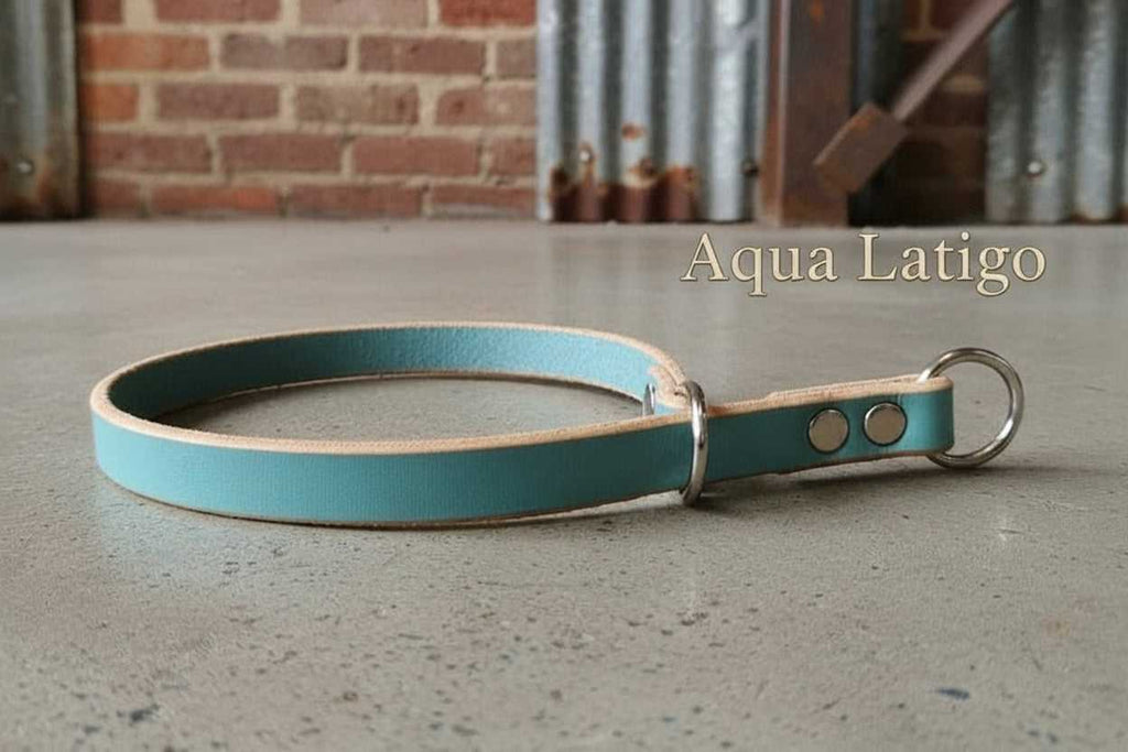 Aqua Latigo Leather Slip Collar for Dogs, featuring durable metal hardware and handcrafted premium leather design.