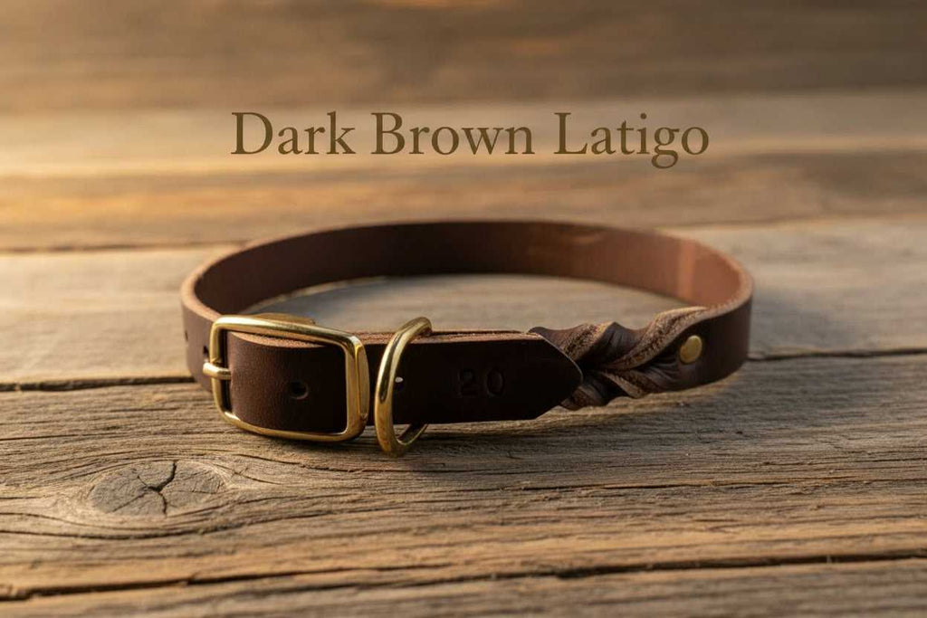 Leather Dog Collar with Buckle in Dark Brown Latigo, crafted from durable full-grain leather with brass hardware for pets. Ideal for daily wear.