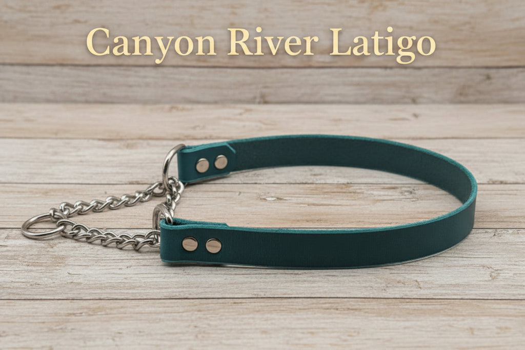 Flat Leather Martingale Collar