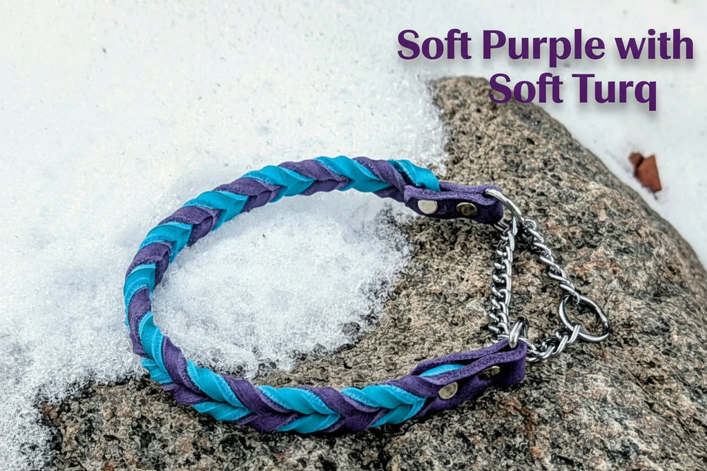 Soft Purple and Turquoise braided martingale collar