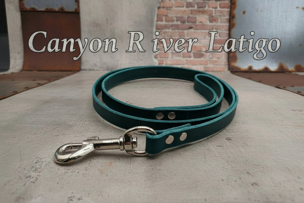 Canyon River Latigo Leash with edged leather and silver hardware