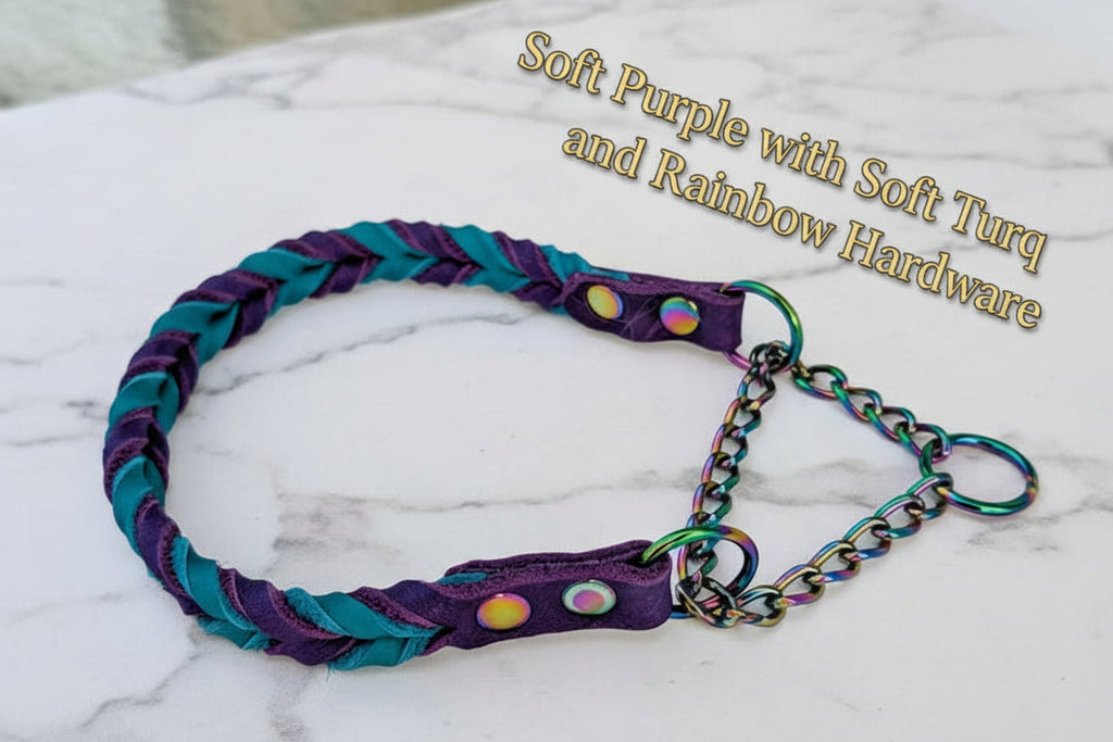 Soft Purple and turquoise braided martingale with rainbow hardware