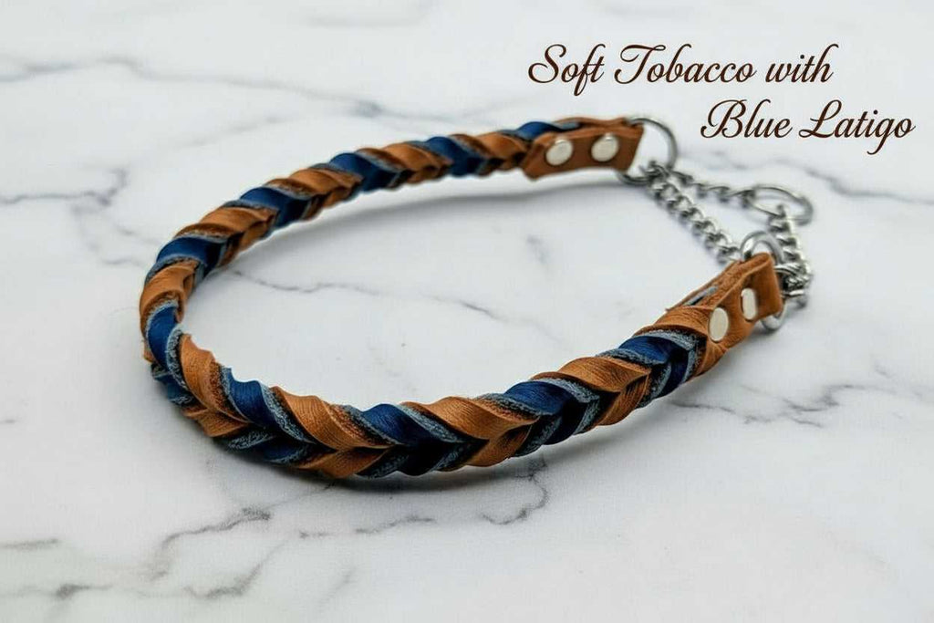 Leather martingale collar with soft tobacco as primary with blue latigo as secondary and silver hardware