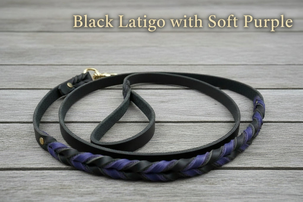 Leather Gripper Dog Leash with braided handle and brass clasp. Durable leather for strong dogs.