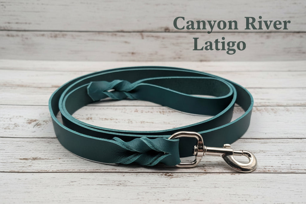 Canyon River Latigo leash with silver snap