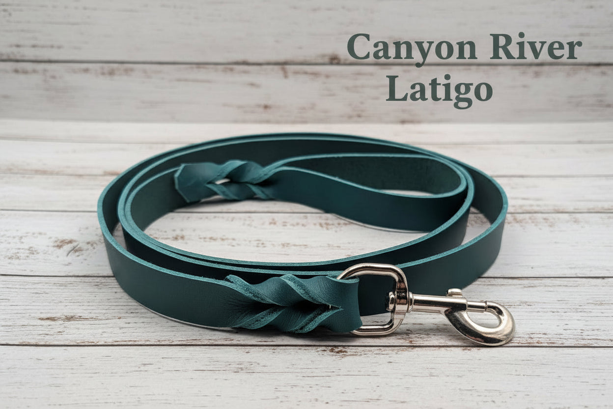 Canyon River Latigo leash with silver snap