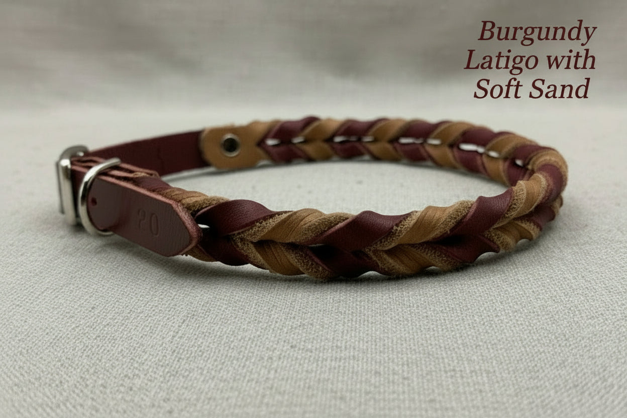 Braided Leather Buckle Collar