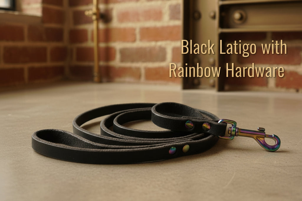 Black latigo leash with rainbow snap and rivets