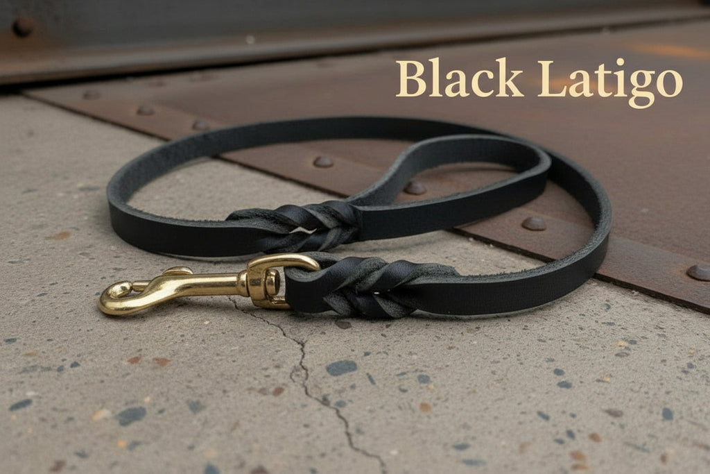 Black Latigo leather leash with edged leather and gold hardware