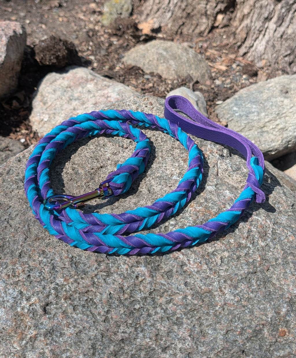 Clearance Leashes