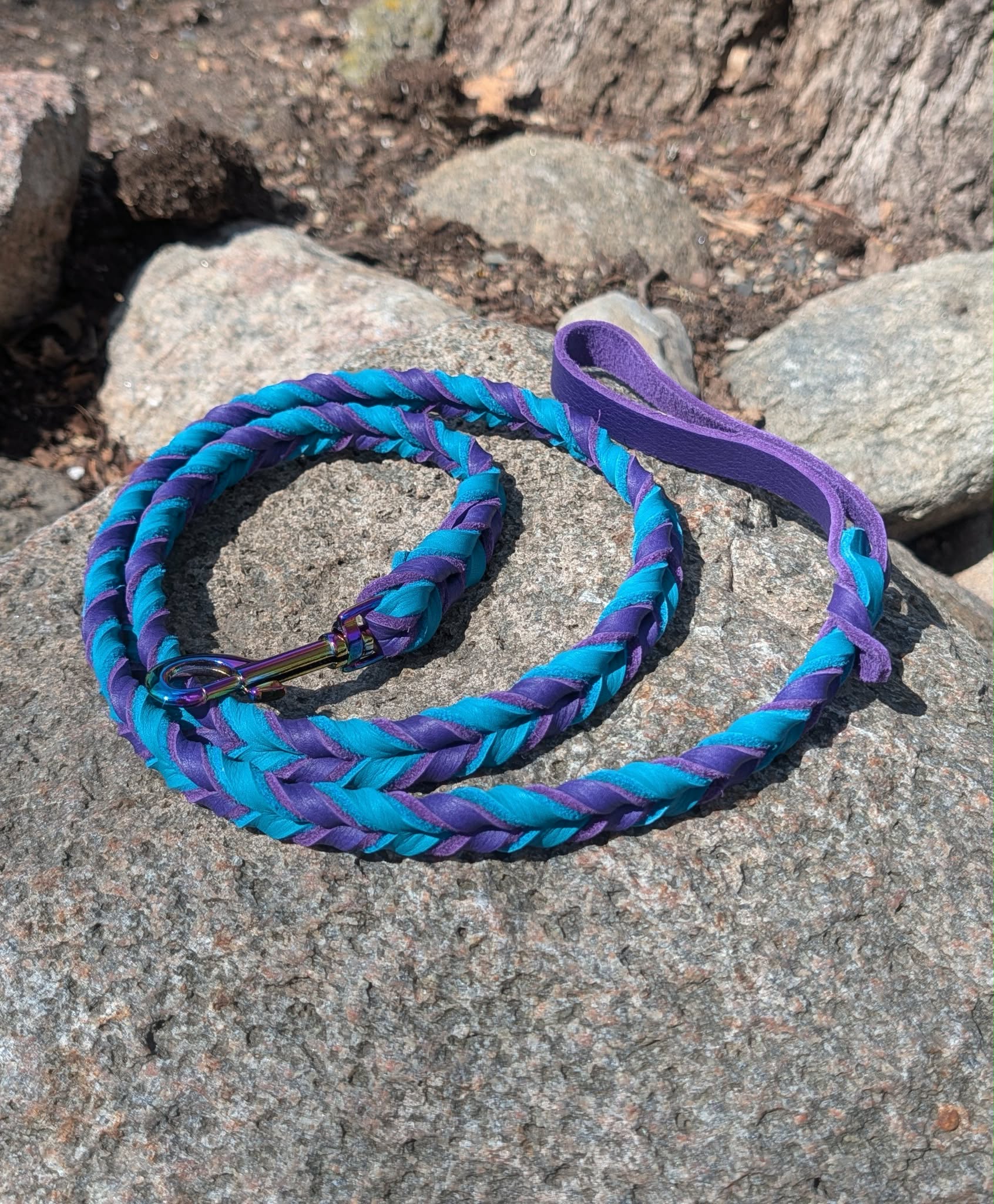 Clearance Leashes