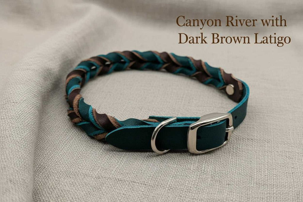 Braided Leather Buckle Collar in Canyon River with Dark Brown Latigo, featuring premium full-grain leather and silver buckle for durable pet wear.