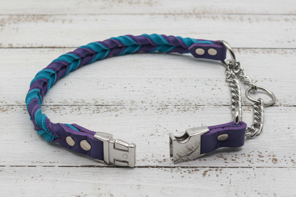 Soft Purple and Soft Turquoise braided martingale with quick release buckle