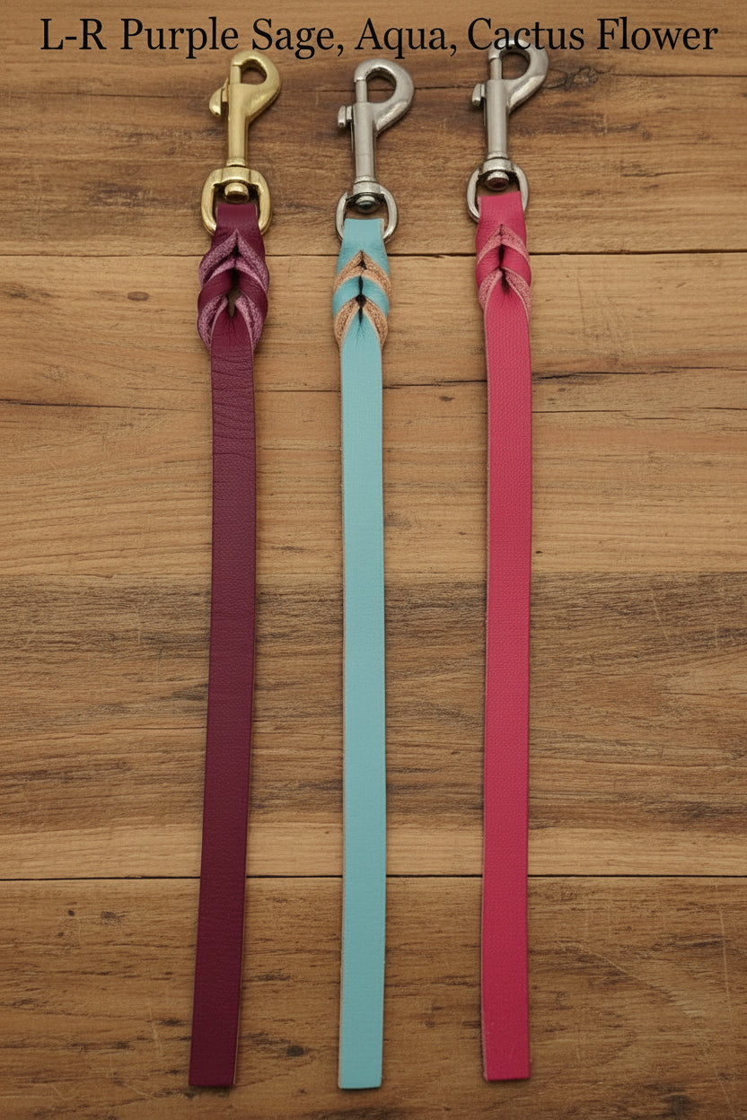 training tabs in purple sage, aqua and cactus flower