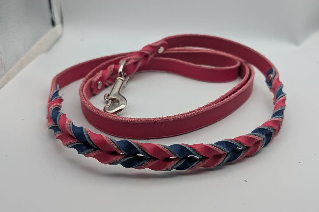 Clearance Leashes