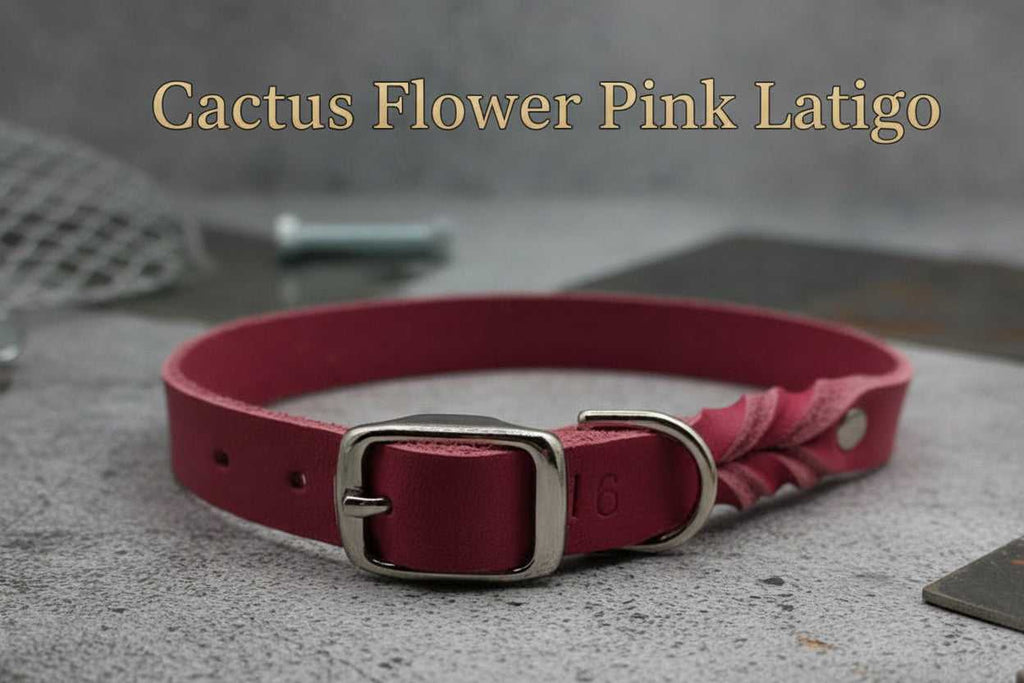 Leather Dog Collar with Buckle in Cactus Flower Pink Latigo, made from full-grain leather for durability and comfort. Ideal for stylish pet owners.
