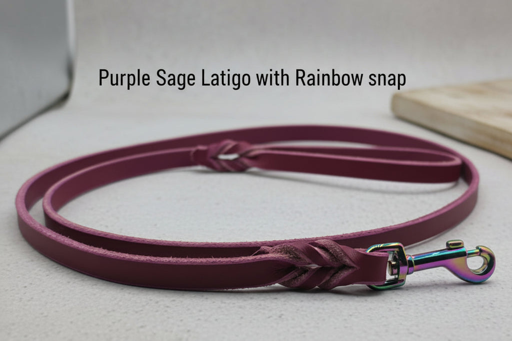Clearance Leashes