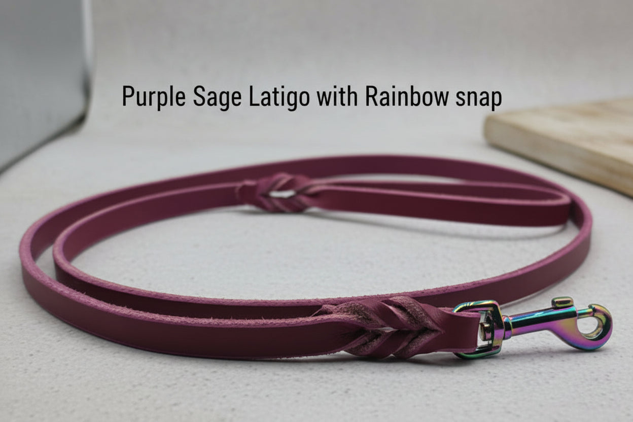 Clearance Leashes
