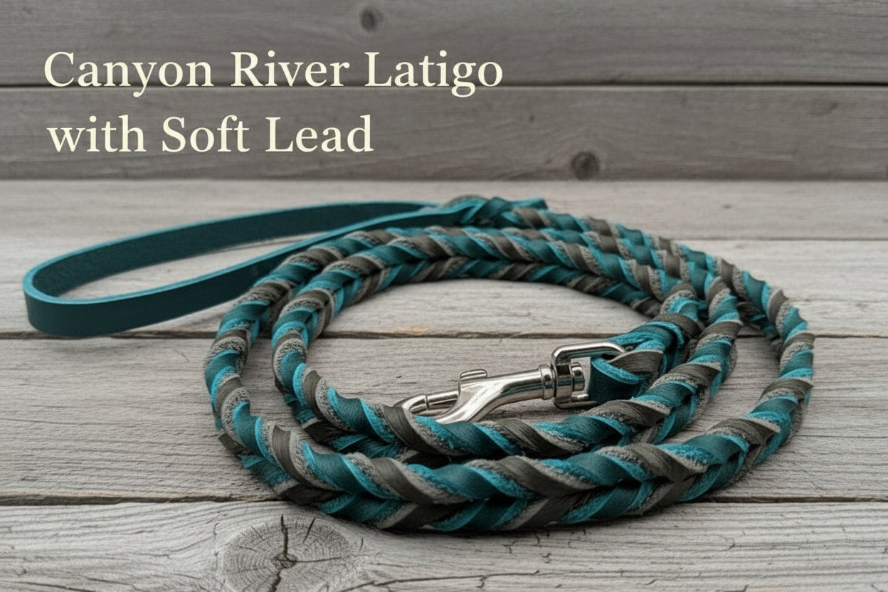 Braided Leather Leash