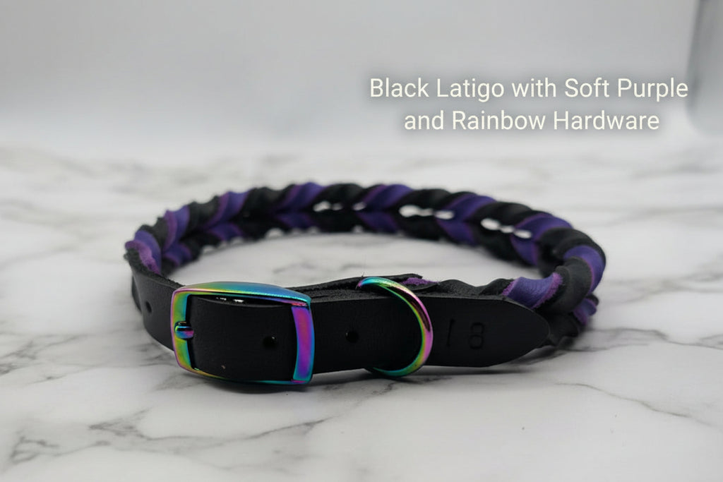 Black latigo dog collar with soft purple and rainbow hardware