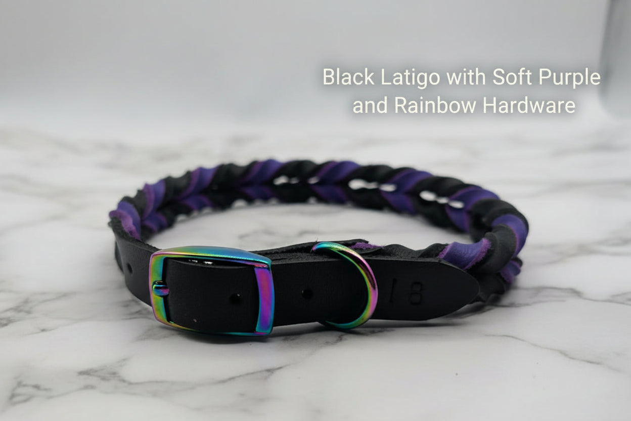 Braided Leather Buckle Collar