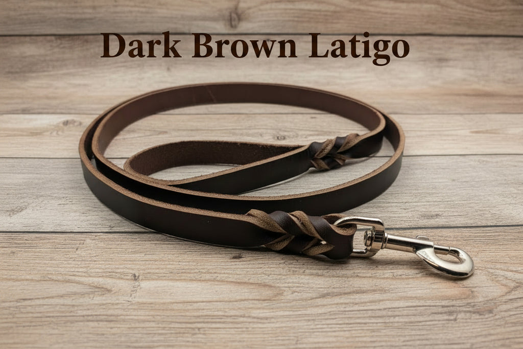 Dark Brown Latigo leash with silver snap