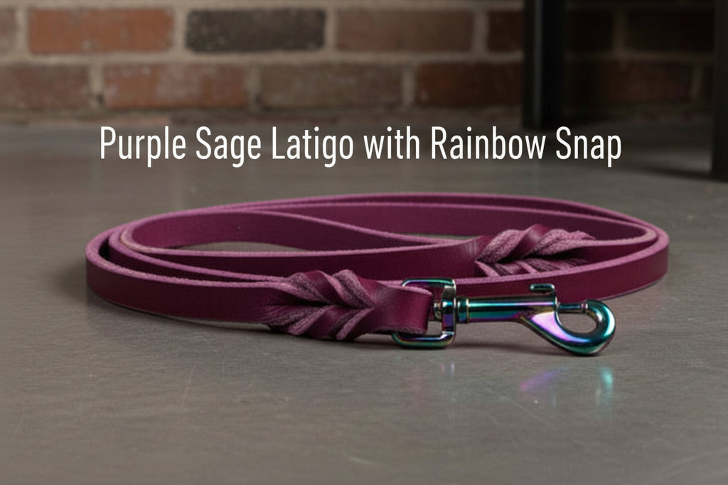 Purple sage latigo leather leash with rainbow snap