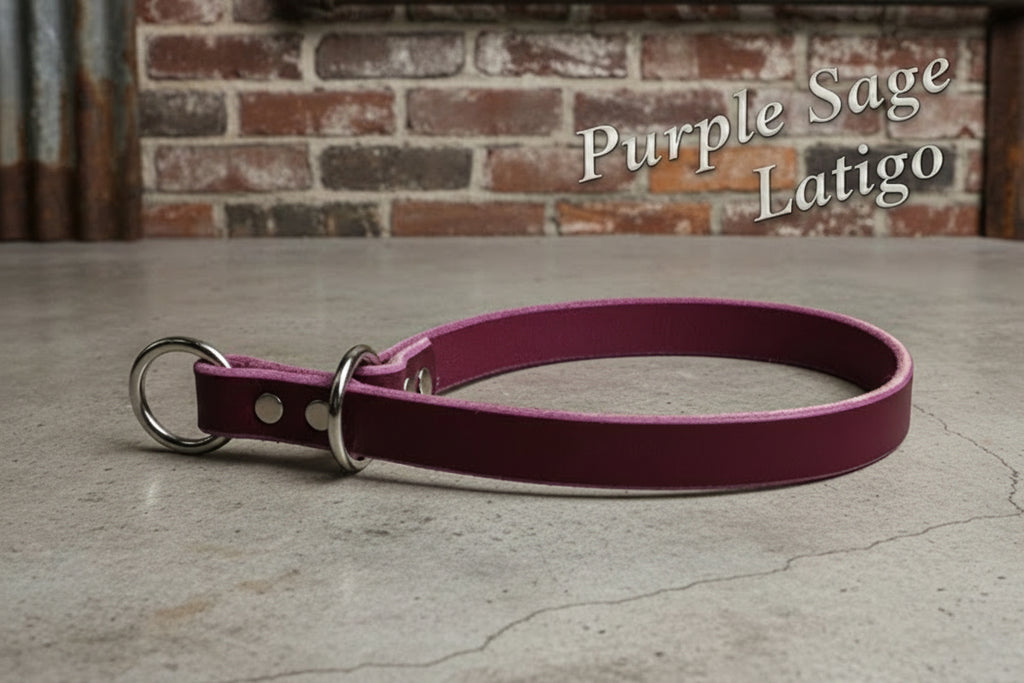 Purple sage slip style dog collar