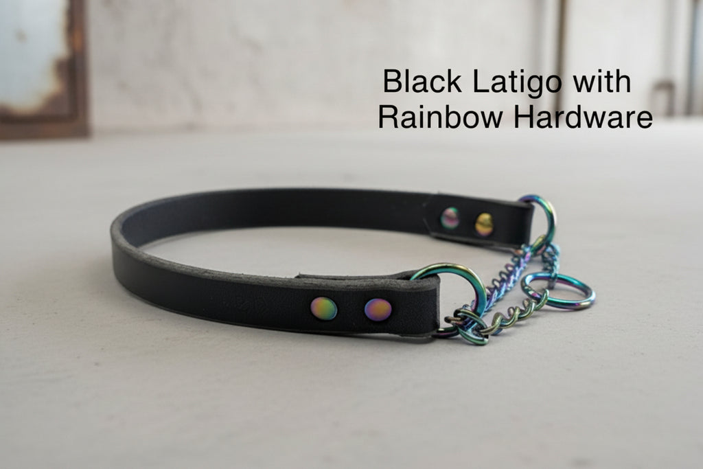 Black Latigo martingale dog collar with rainbow hardware