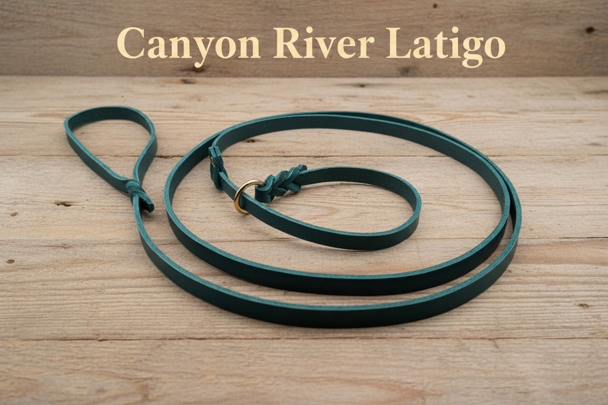 canyon River Latigo leather slip collar with gold hardware