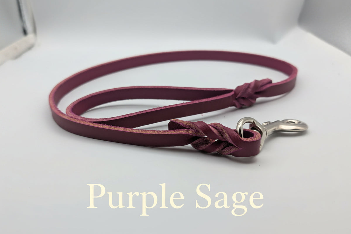 Clearance Leashes