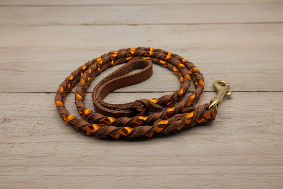 Metallic Braided Leather Leash