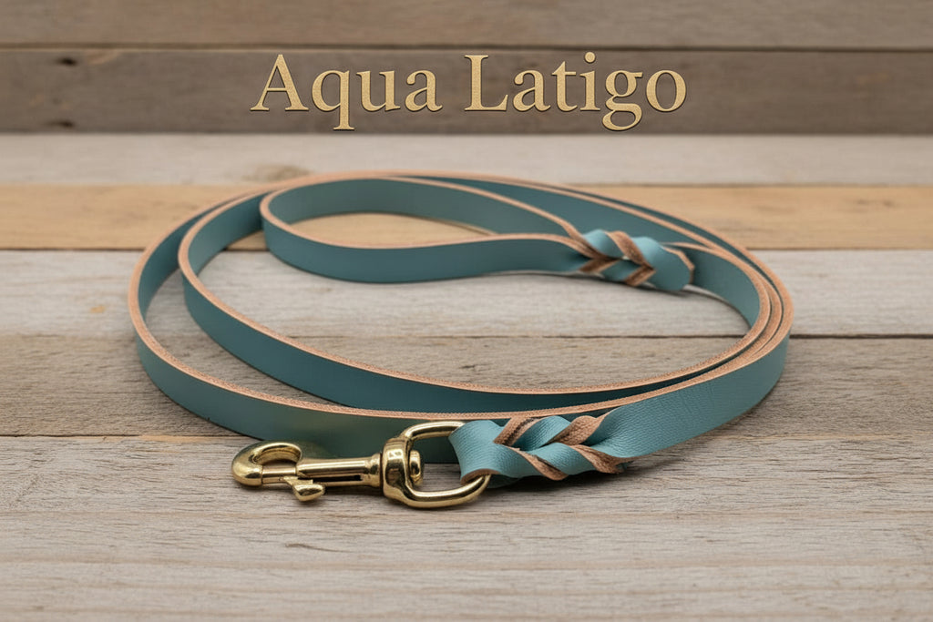 Aqua Latigo leather leash with gold snap