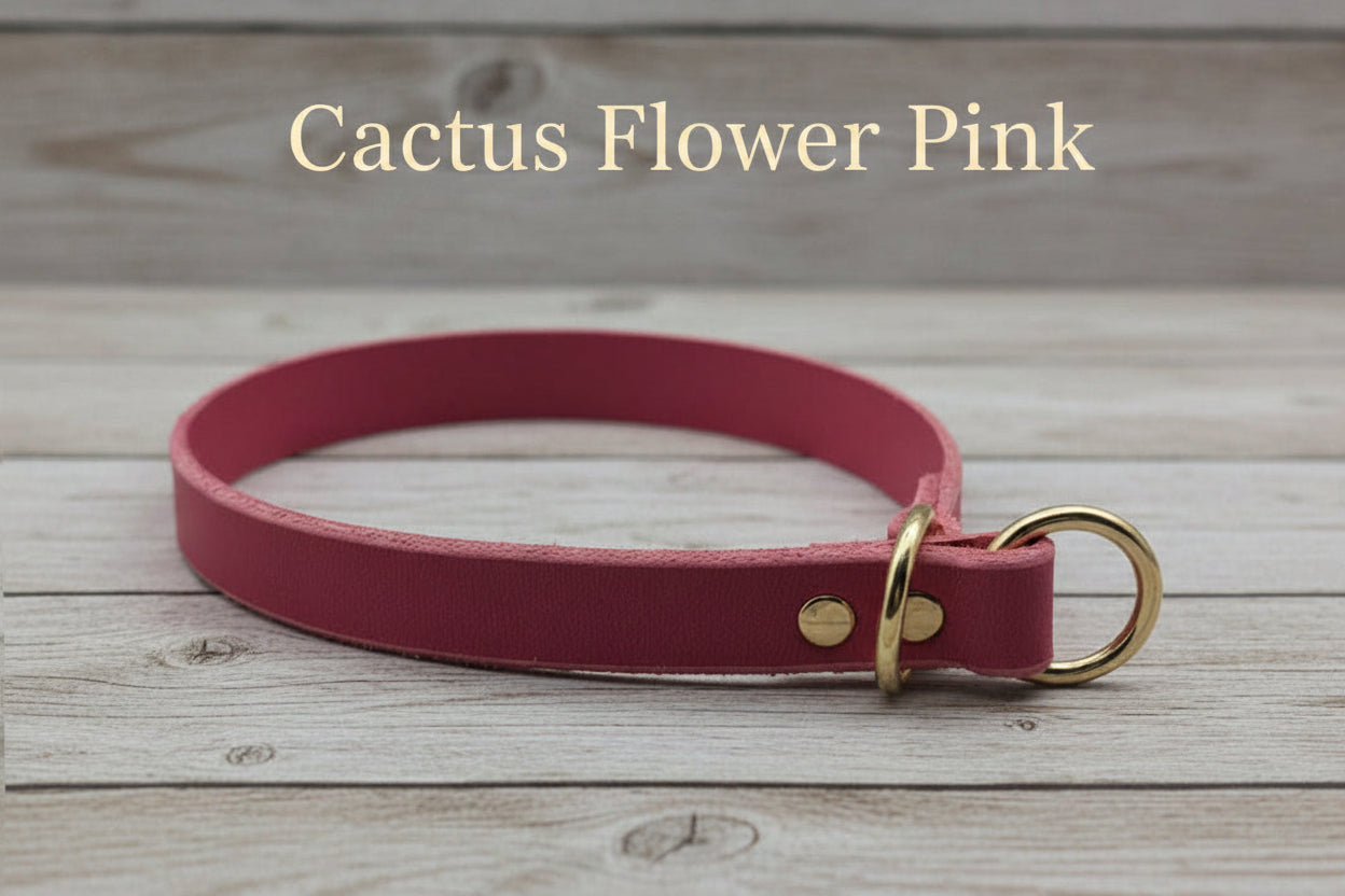 Leather Slip Collar