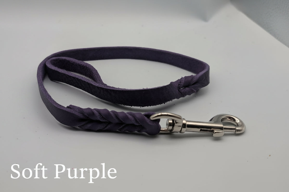 Clearance Leashes