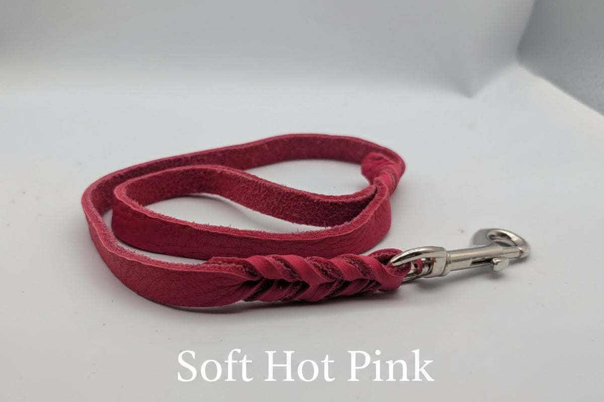 Clearance Leashes