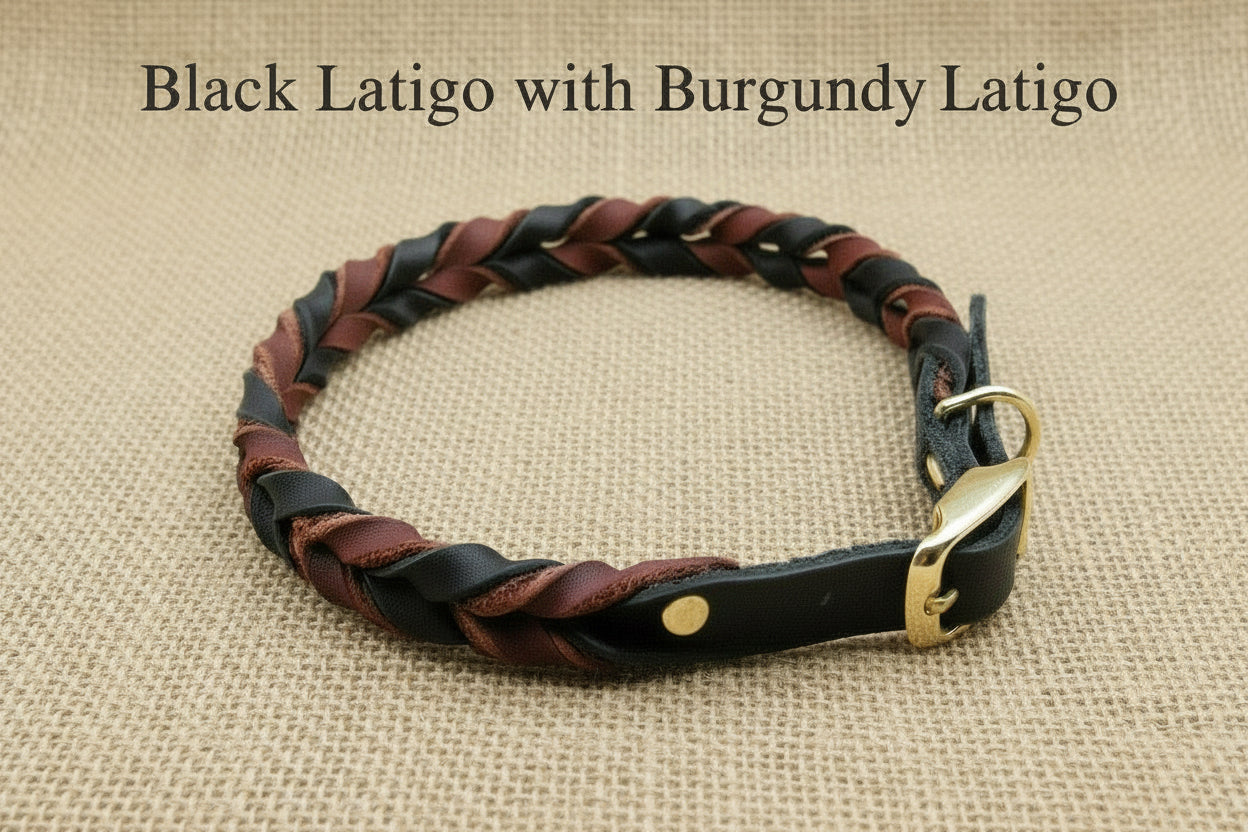 Braided Leather Buckle Collar