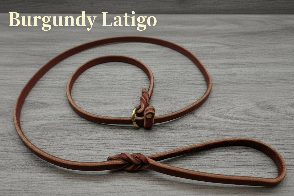 Burgundy leather slip leash with gold hardware