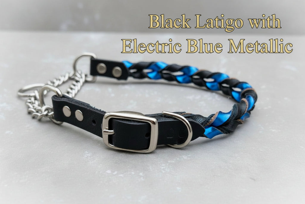 Black Latigo primary with Electric Blue Metallic secondary with silver hardware