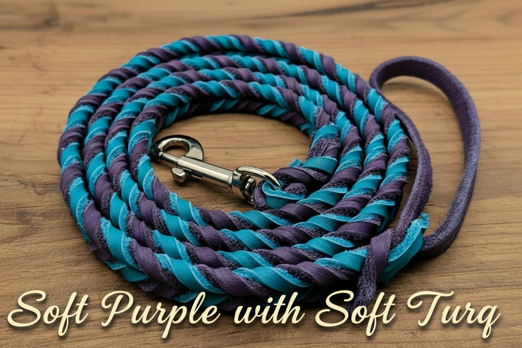 Braided dog leash with Soft Purple primary and Soft Turquoise sendary and silver hardware