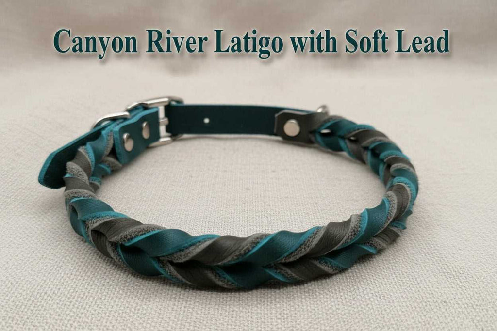 Braided Leather Buckle Collar in teal and gray Canyon River Latigo with soft lead, featuring durable hardware and adjustable fit for dogs.