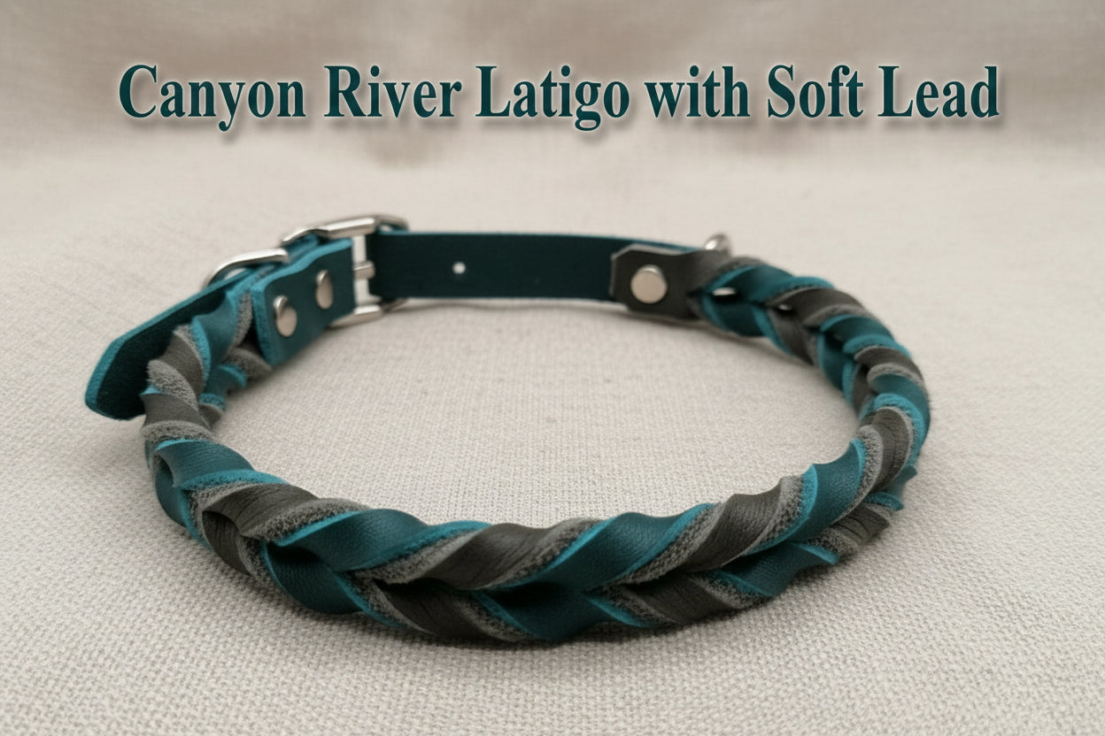 Braided Leather Buckle Collar