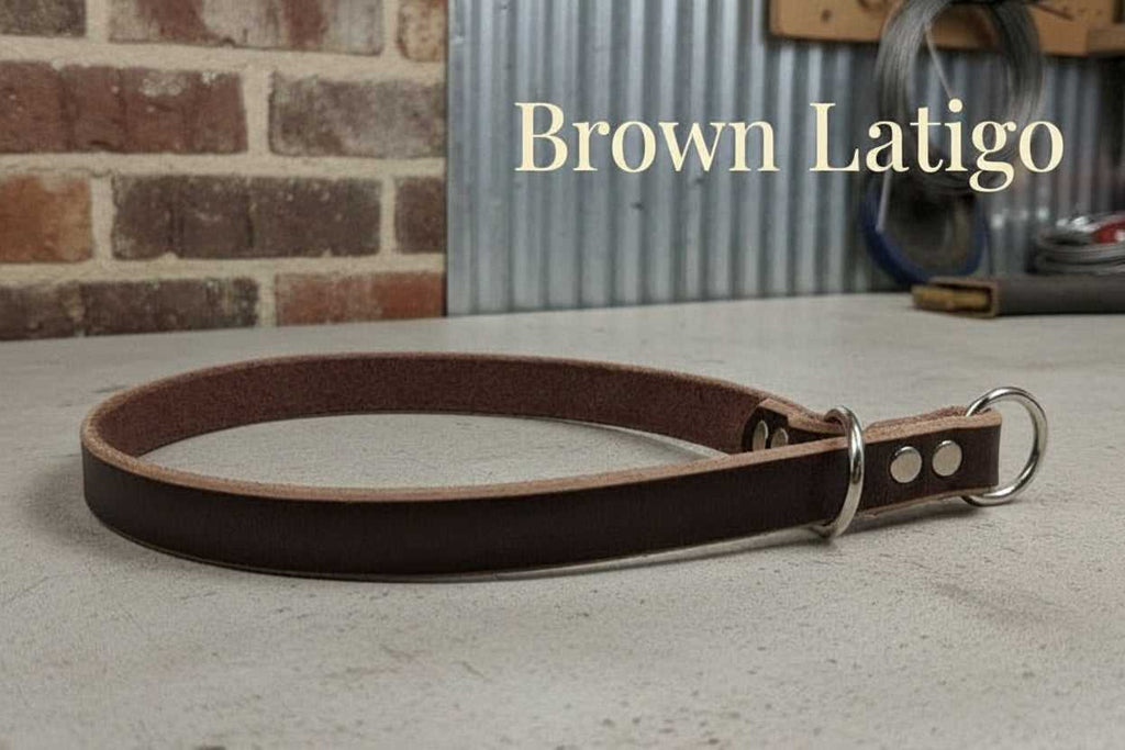 Brown Latigo Leather Slip Collar for Dogs made from durable, premium leather with metal rings for secure and gentle control during training.