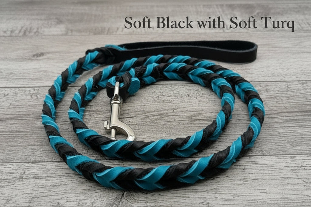 Braided Leather dog leash Soft black primary with soft turquoise secondary with silver snap