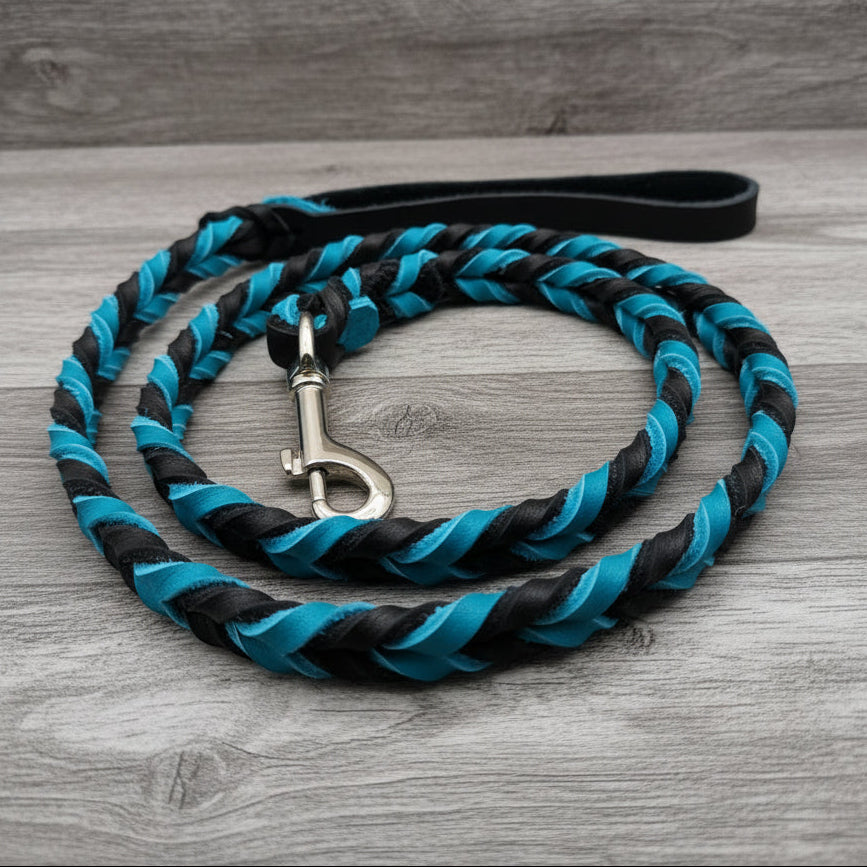 Clearance Leashes
